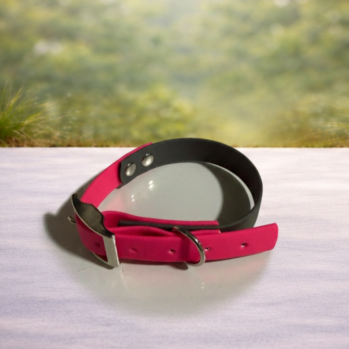 Collares de biothane personalizados.