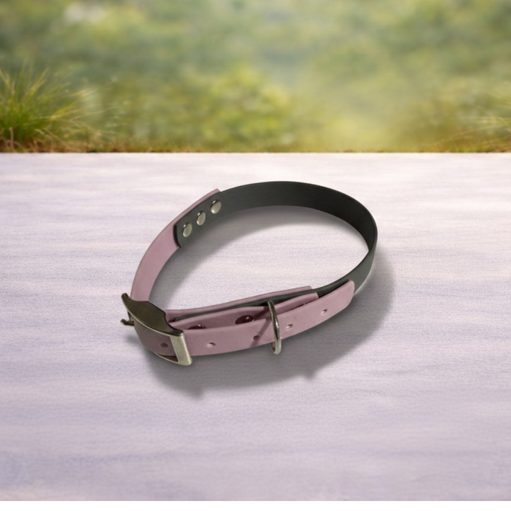 Collares de biothane personalizados.