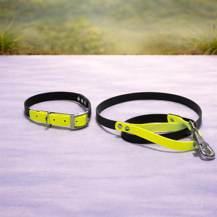 Pack Collar + Correa Básica Biothane Impermeable | Hecho a mano