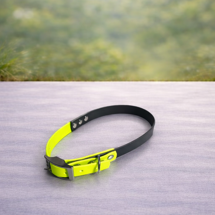 Collares de biothane personalizados.