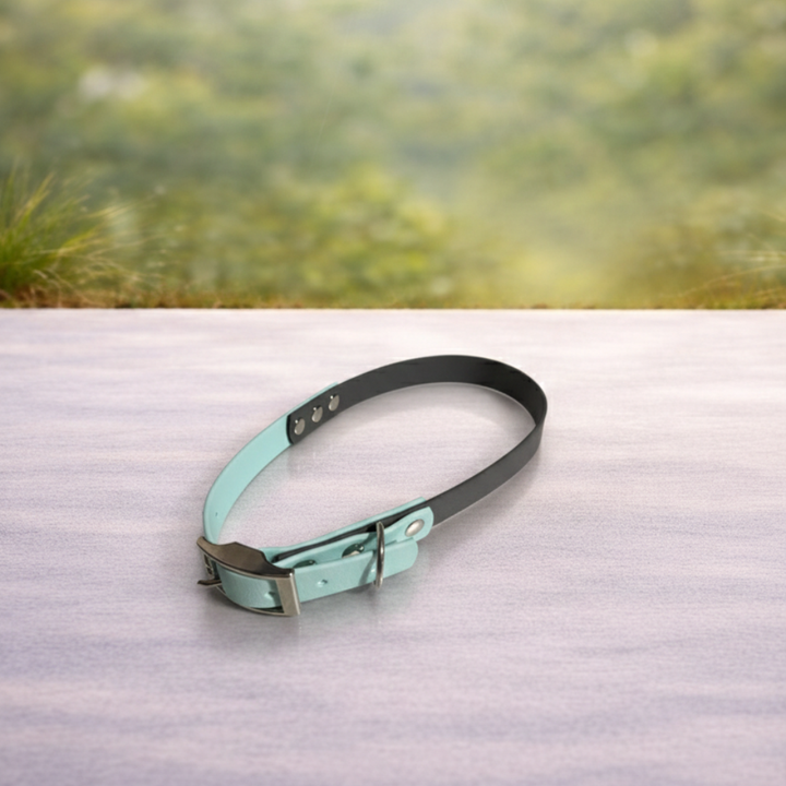 Collares de biothane personalizados.