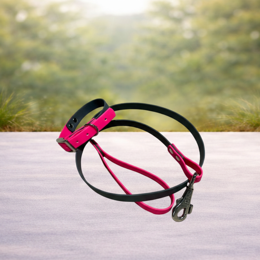 Pack Collar + Correa Básica Biothane Impermeable | Hecho a mano