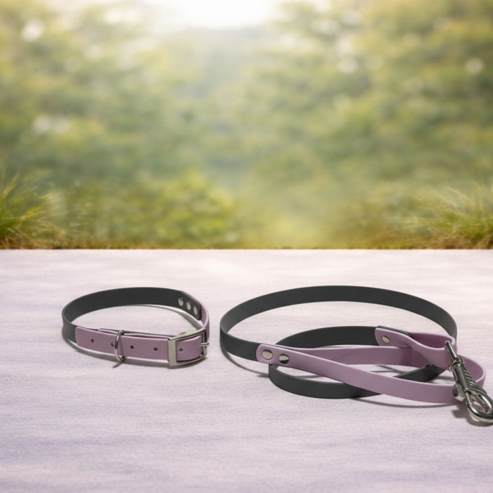 Pack Collar + Correa Básica Biothane Impermeable | Hecho a mano