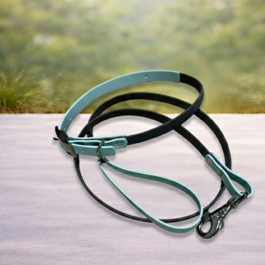 Pack Collar + Correa Básica Biothane Impermeable | Hecho a mano