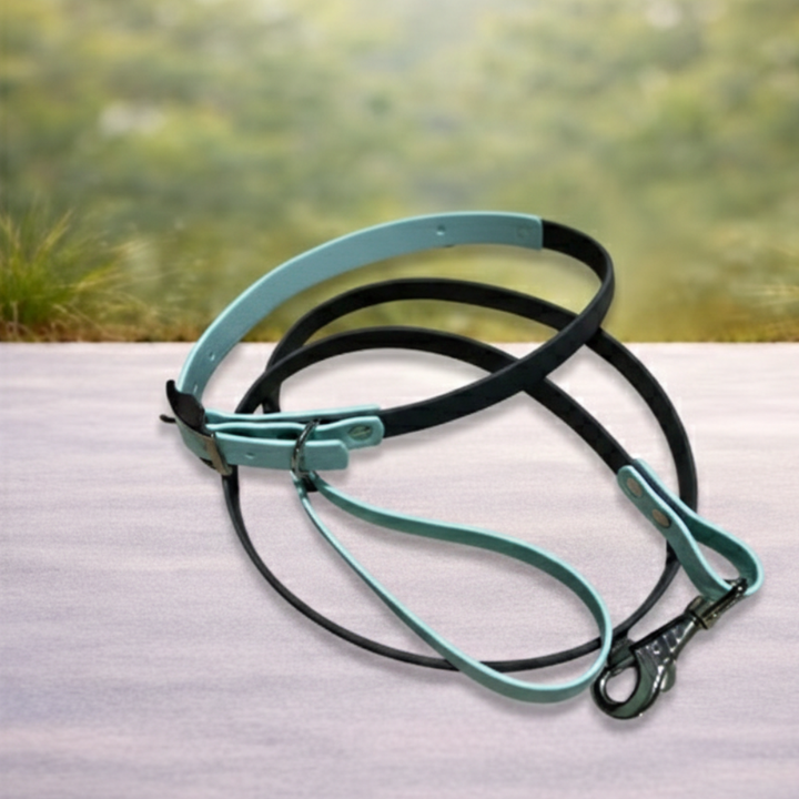 Pack Collar + Correa Básica Biothane Impermeable | Hecho a mano